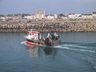 IMG_1920.JPG